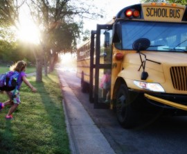 yellow bus